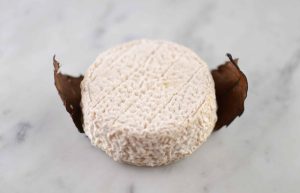 MOTHAIS SUR FEUILLE