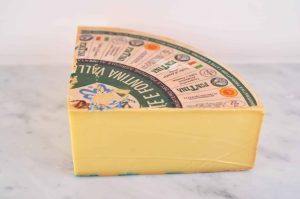 FONTINA